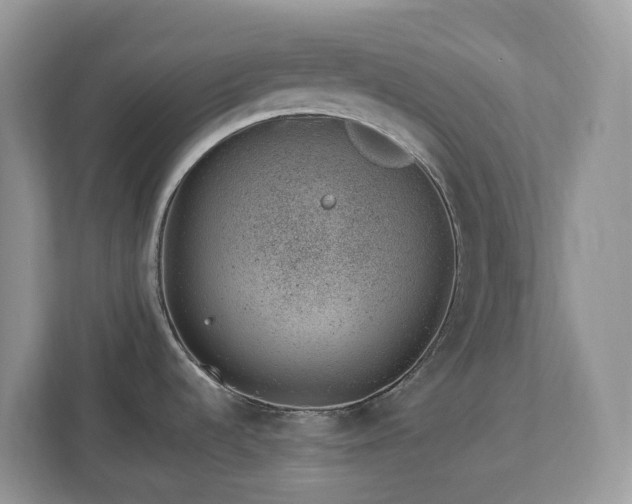 X0000112921536200908241216