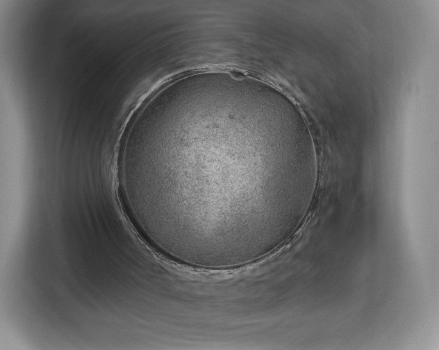 X0000112920002200908311306