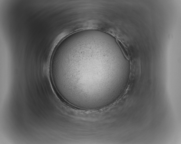 X0000112920003200908311306