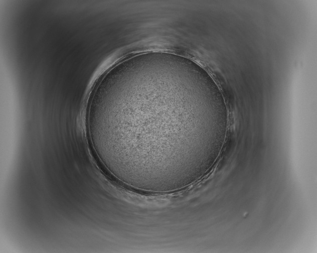 X0000112920004200908311306