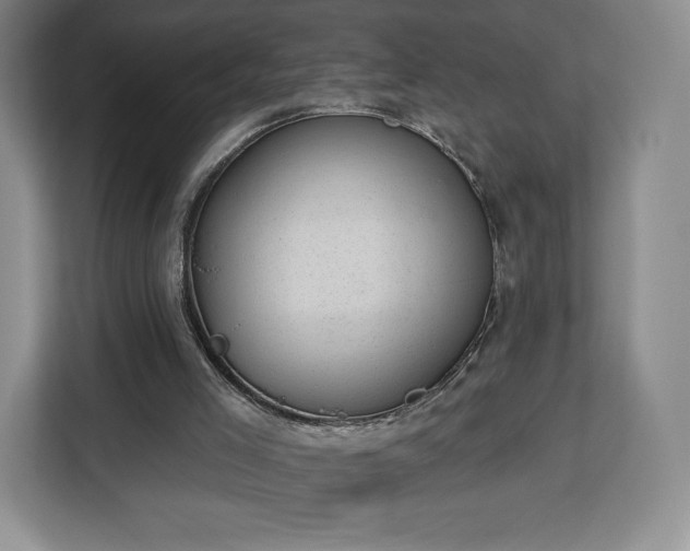 X0000112920005200908311306
