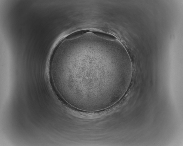 X0000112920006200908311306