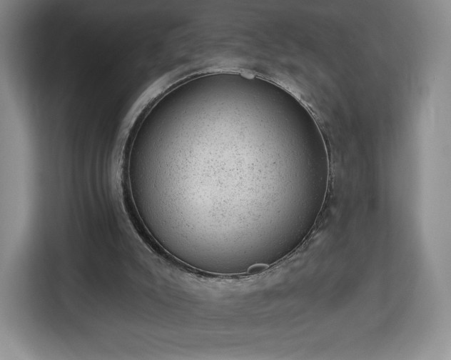 X0000112920007200908311306