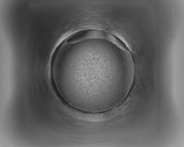 X0000112920008200908311306