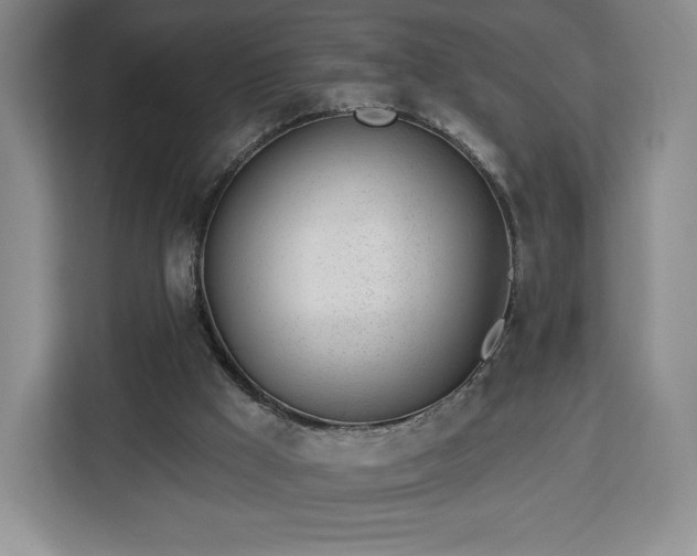 X0000112920009200908311306