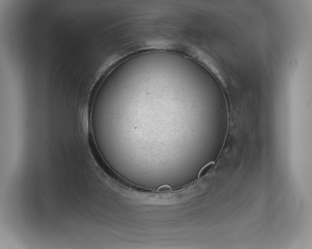 X0000112920011200908311306