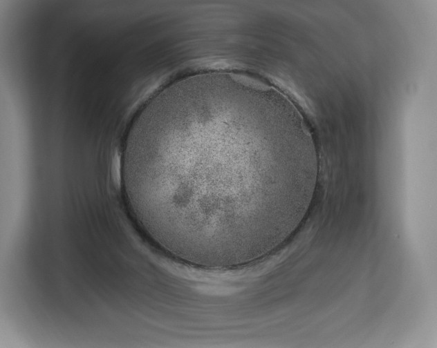 X0000112920014200908311306
