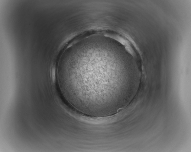 X0000112920019200908311306