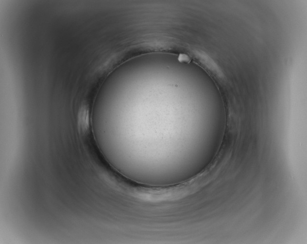 X0000112920021200908311306