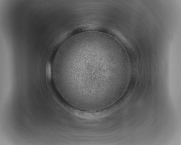 X0000112920022200908311306