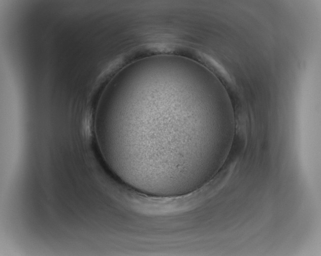 X0000112920023200908311306