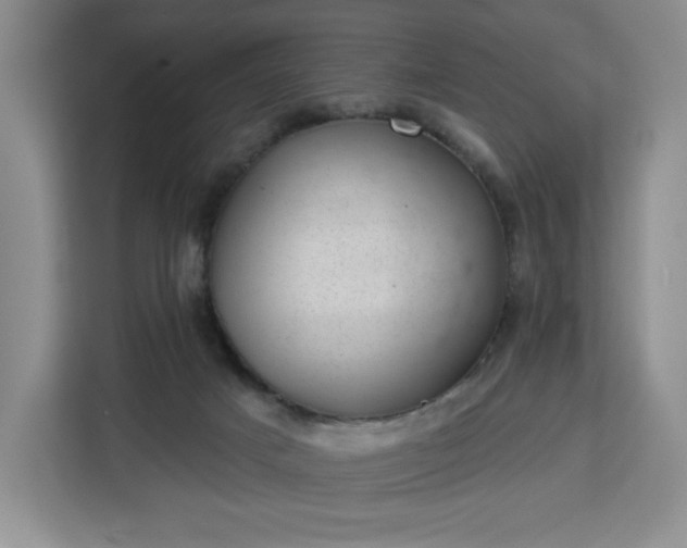 X0000112920025200908311306