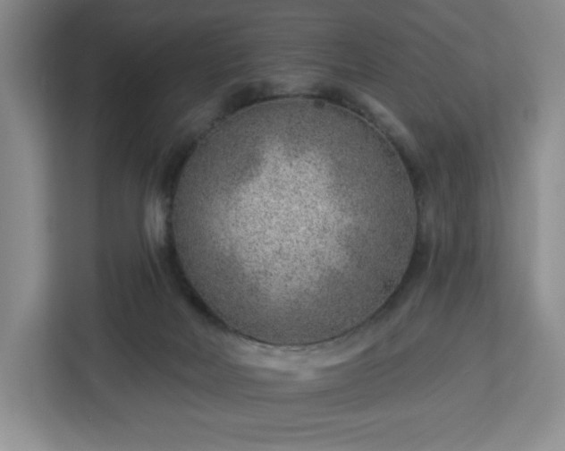 X0000112920026200908311306