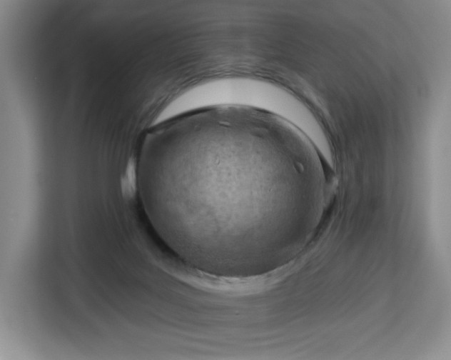 X0000112920027200908311306