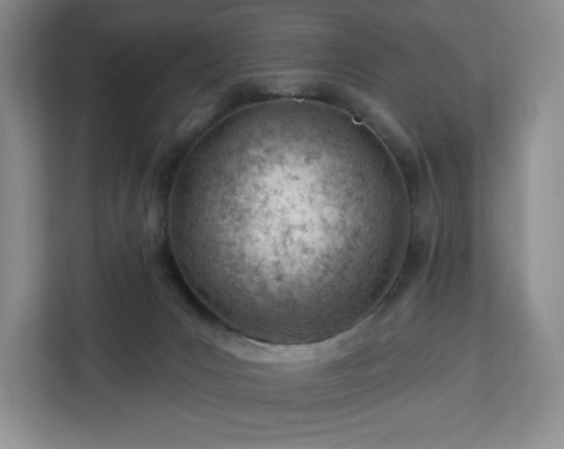 X0000112920031200908311306