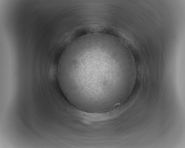 X0000112920034200908311306