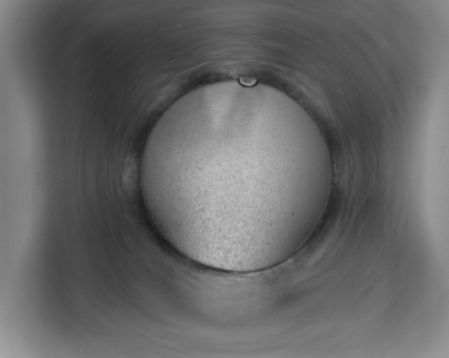 X0000112920036200908311306