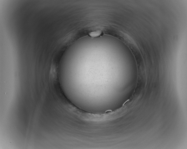 X0000112920037200908311306