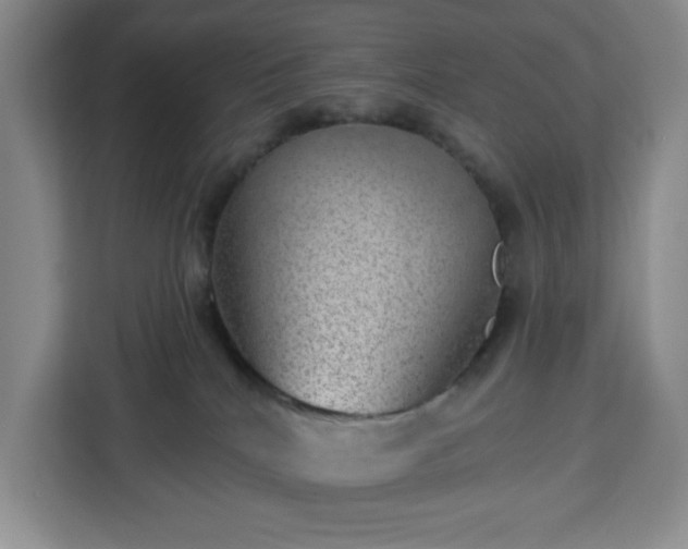 X0000112920040200908311306