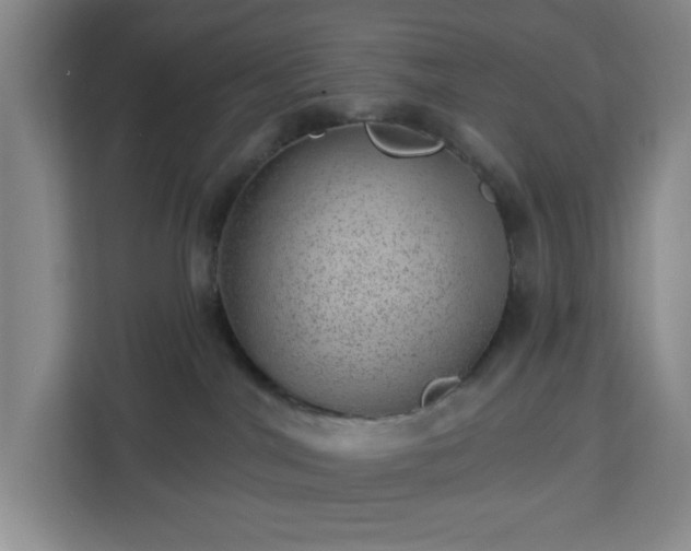 X0000112920044200908311306