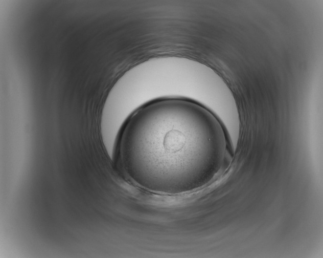 X0000112920045200908311306