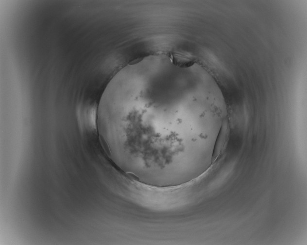 X0000112920047200908311306