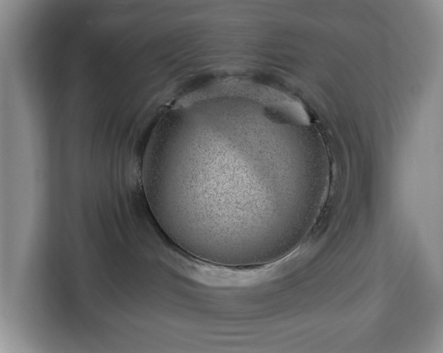 X0000112920048200908311306