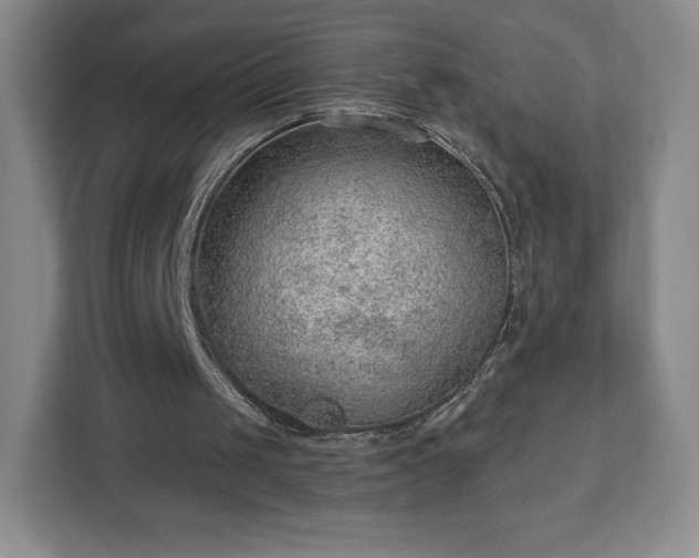 X0000112920049200908311305