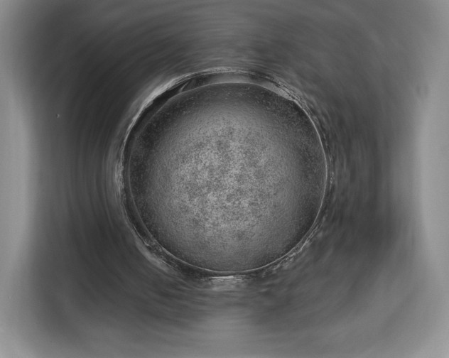 X0000112920050200908311305