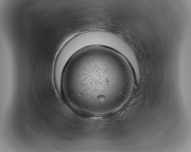 X0000112920052200908311305