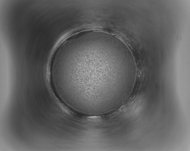 X0000112920053200908311305