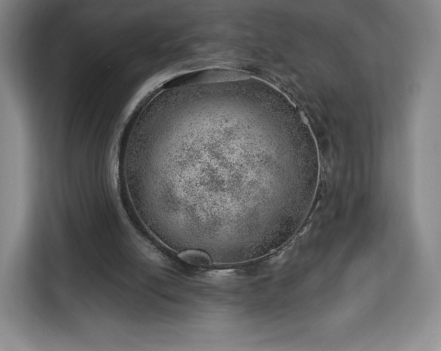 X0000112920054200908311305