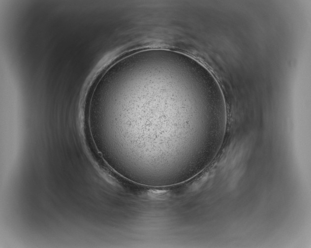 X0000112920055200908311305