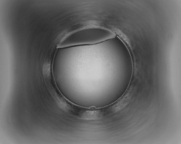 X0000112920057200908311305