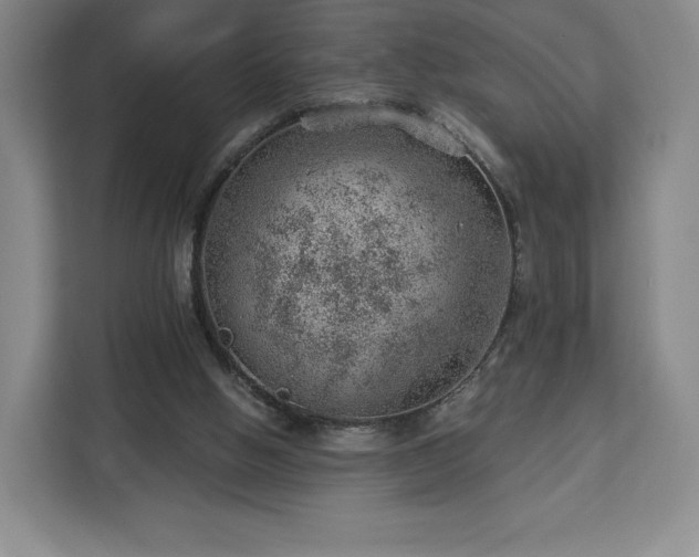 X0000112920058200908311305