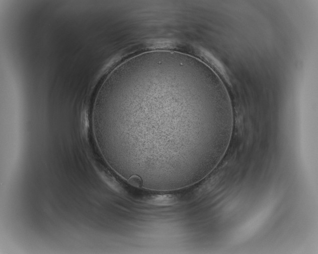 X0000112920059200908311305