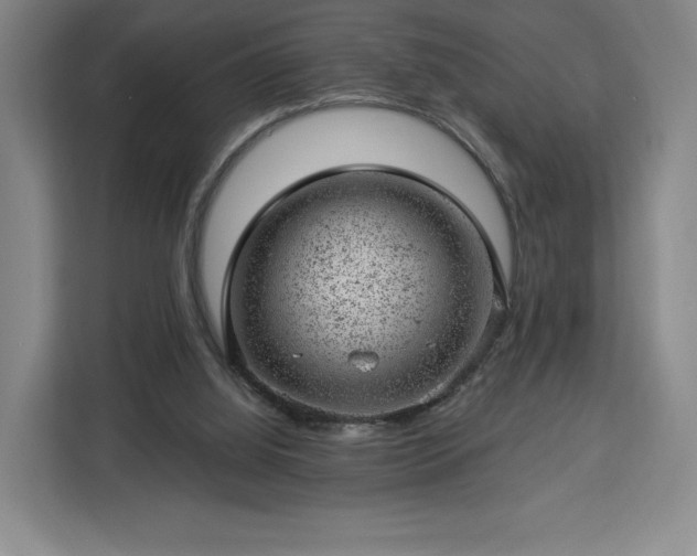 X0000112920060200908311305