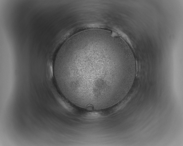 X0000112920061200908311305