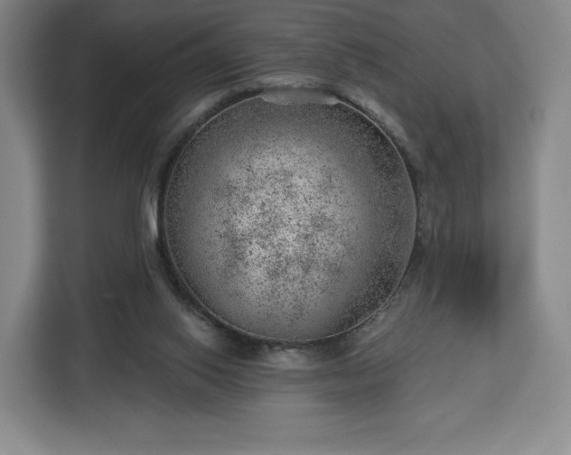 X0000112920062200908311305