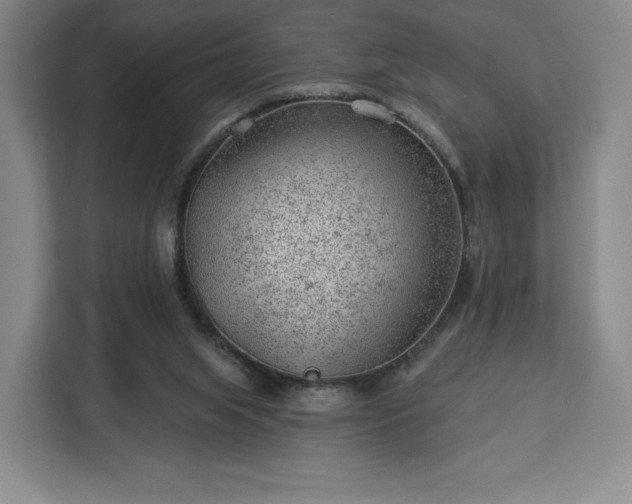 X0000112920063200908311305