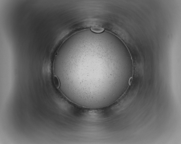 X0000112920064200908311305