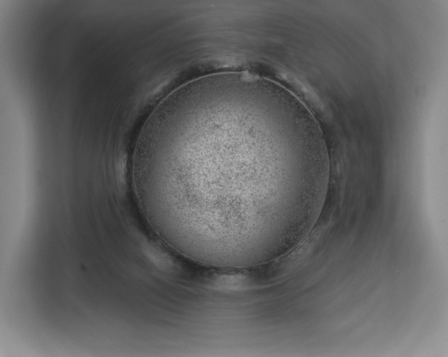 X0000112920066200908311305