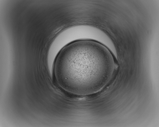 X0000112920068200908311305