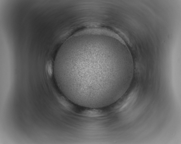 X0000112920069200908311305