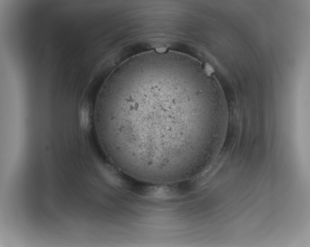 X0000112920074200908311305