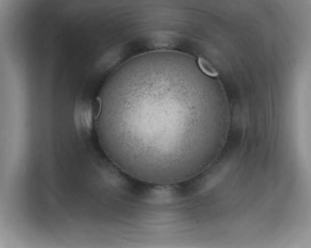 X0000112920076200908311305