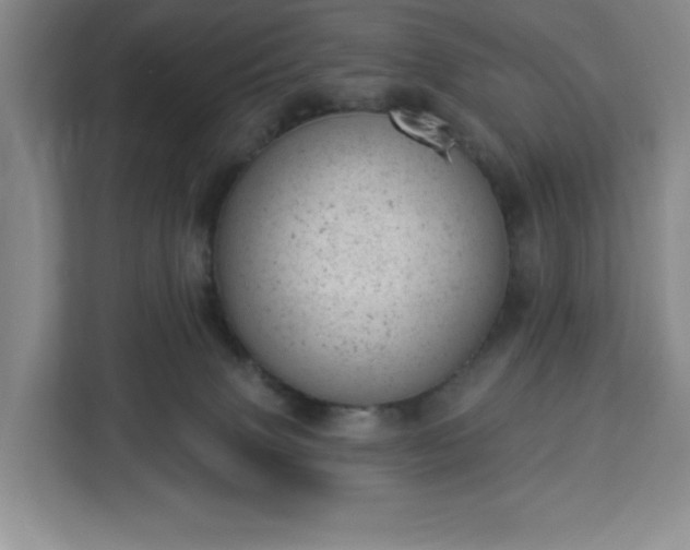 X0000112920083200908311306