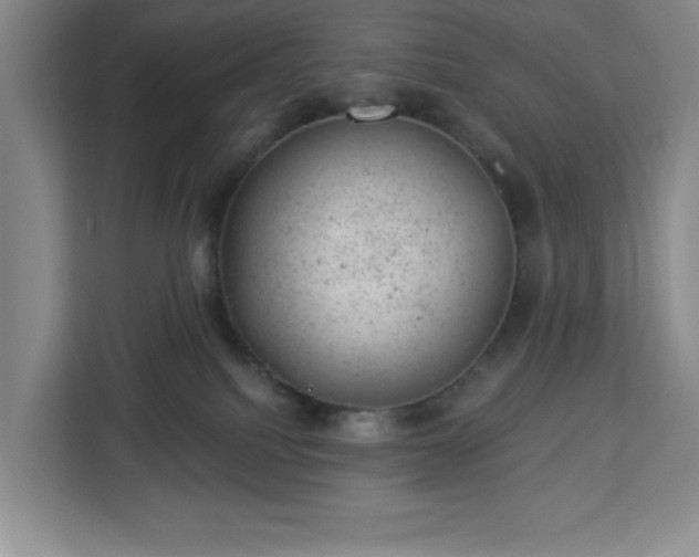 X0000112920088200908311306