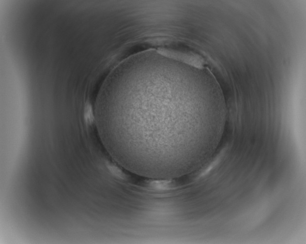 X0000112920089200908311306