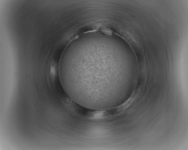 X0000112920090200908311306